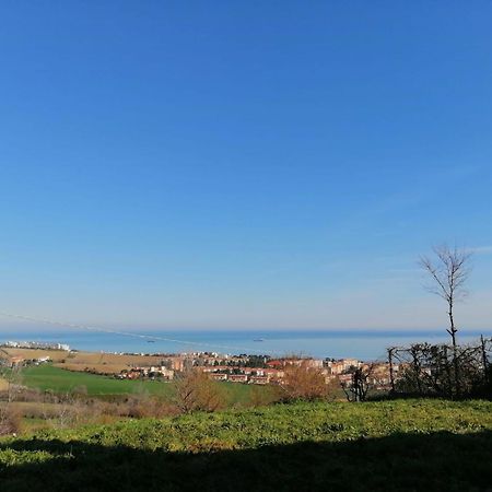 Le Tamerici B&B Ancona Eksteriør billede